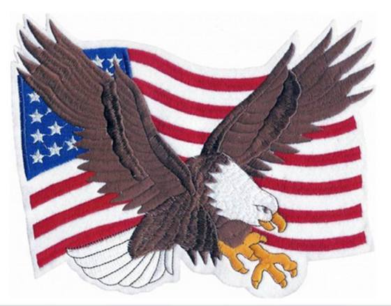 American-flag-Eagle-Head-Bird-Patch-Iron-Embroidered-Applique-Sew-Badge-DIY  American-flag-Eagle-Head-Bird-Patch-Iron