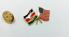 IMKGIFT make Lions club collector lapel pin   Rare-Lion-Club-International-Pixley-  Past President Lapel Service Pin